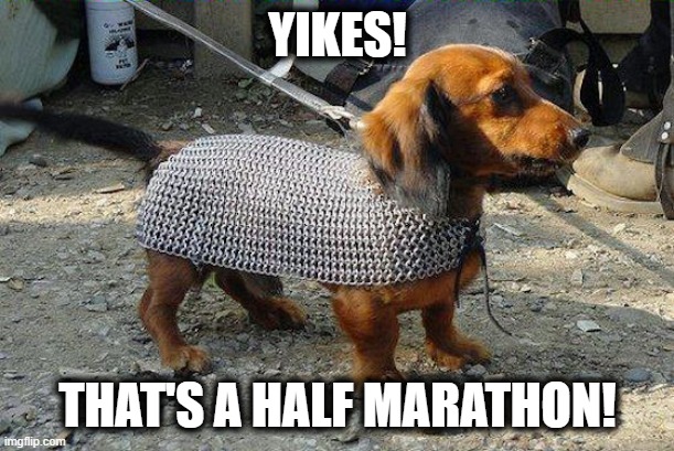 Weiner Dog | YIKES! THAT'S A HALF MARATHON! | image tagged in weiner dog | made w/ Imgflip meme maker