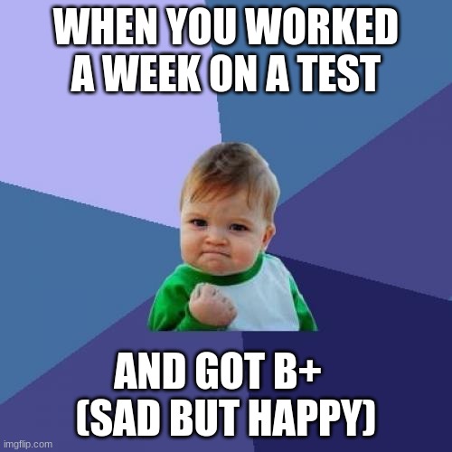 Sad Yet Happy | WHEN YOU WORKED A WEEK ON A TEST; AND GOT B+   (SAD BUT HAPPY) | image tagged in memes,success kid | made w/ Imgflip meme maker