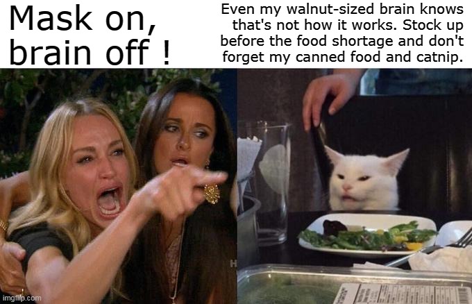 Mask on... | Mask on,
brain off ! Even my walnut-sized brain knows
that's not how it works. Stock up
before the food shortage and don't
forget my canned food and catnip. | image tagged in memes,woman yelling at cat,covid-19,plandemic,food,scamdemic | made w/ Imgflip meme maker