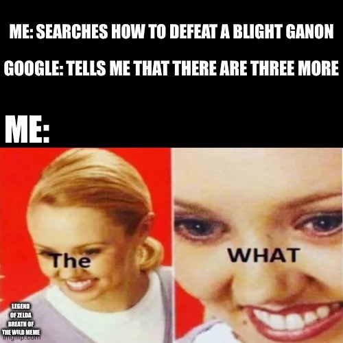 The What | ME: SEARCHES HOW TO DEFEAT A BLIGHT GANON; GOOGLE: TELLS ME THAT THERE ARE THREE MORE; ME:; LEGEND OF ZELDA BREATH OF THE WILD MEME | image tagged in the what,front page | made w/ Imgflip meme maker
