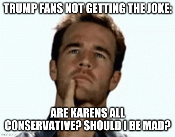 interesting | TRUMP FANS NOT GETTING THE JOKE:; ARE KARENS ALL CONSERVATIVE? SHOULD I BE MAD? | image tagged in interesting | made w/ Imgflip meme maker