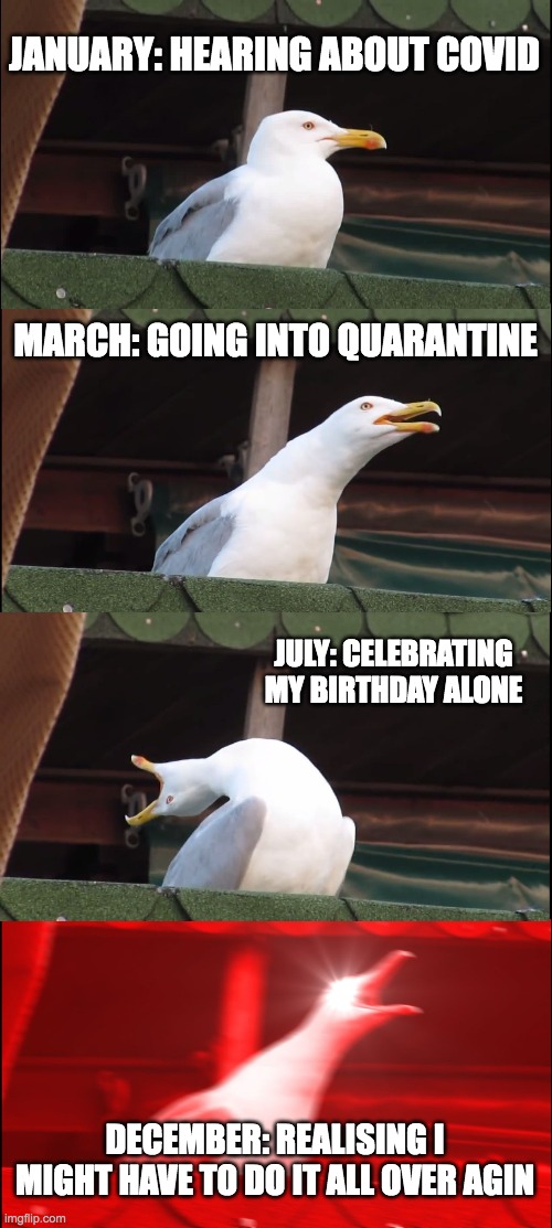 Inhaling Seagull | JANUARY: HEARING ABOUT COVID; MARCH: GOING INTO QUARANTINE; JULY: CELEBRATING MY BIRTHDAY ALONE; DECEMBER: REALISING I MIGHT HAVE TO DO IT ALL OVER AGIN | image tagged in memes,inhaling seagull | made w/ Imgflip meme maker