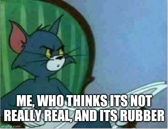 ... | ME, WHO THINKS ITS NOT REALLY REAL, AND ITS RUBBER | image tagged in interrupting tom's read | made w/ Imgflip meme maker