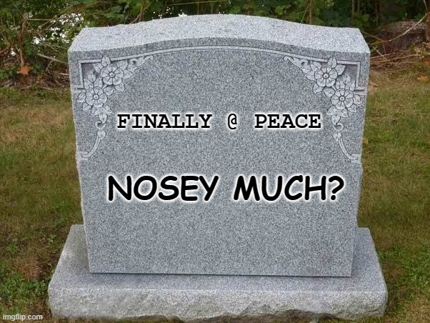 empty gravestone 121212 | FINALLY @ PEACE; NOSEY MUCH? | image tagged in empty gravestone 121212 | made w/ Imgflip meme maker
