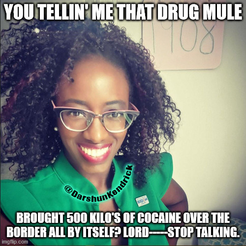 DRUG MULE | YOU TELLIN' ME THAT DRUG MULE; BROUGHT 500 KILO'S OF COCAINE OVER THE BORDER ALL BY ITSELF? LORD-----STOP TALKING. | image tagged in dar'shun kendrick,trump | made w/ Imgflip meme maker