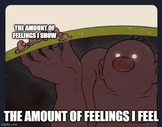 No i'm not shallow | THE AMOUNT OF FEELINGS I SHOW; THE AMOUNT OF FEELINGS I FEEL | image tagged in big diglett underground | made w/ Imgflip meme maker