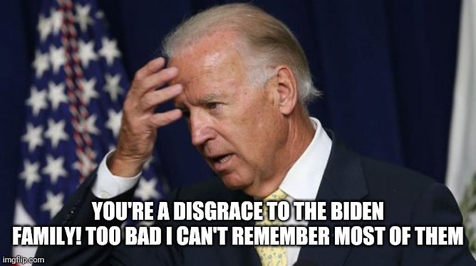Joe Biden worries | YOU'RE A DISGRACE TO THE BIDEN FAMILY! TOO BAD I CAN'T REMEMBER MOST OF THEM | image tagged in joe biden worries | made w/ Imgflip meme maker