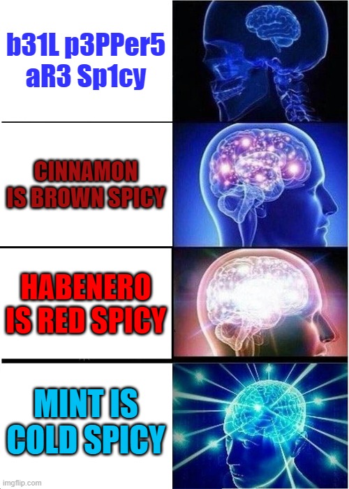 Expanding Brain | b31L p3PPer5 aR3 Sp1cy; CINNAMON IS BROWN SPICY; HABENERO IS RED SPICY; MINT IS COLD SPICY | image tagged in memes,expanding brain | made w/ Imgflip meme maker