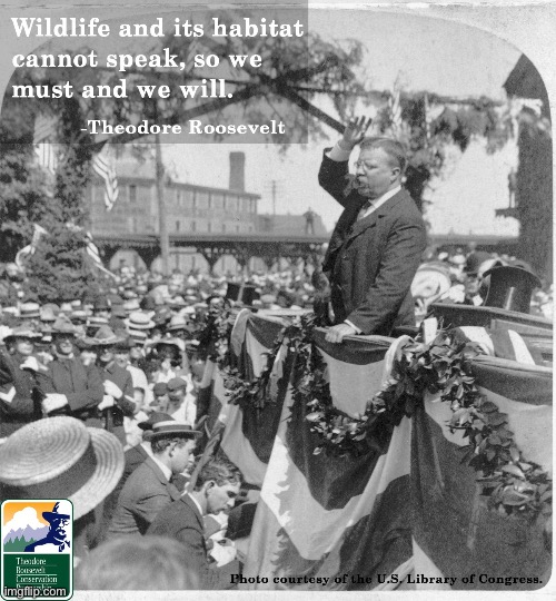 Teddy Roosevelt quote environment | image tagged in teddy roosevelt quote environment | made w/ Imgflip meme maker