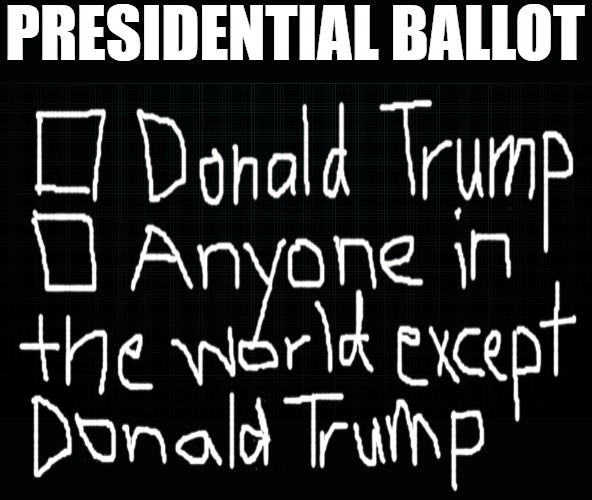 Election 2020 | PRESIDENTIAL BALLOT | image tagged in election 2020 | made w/ Imgflip meme maker