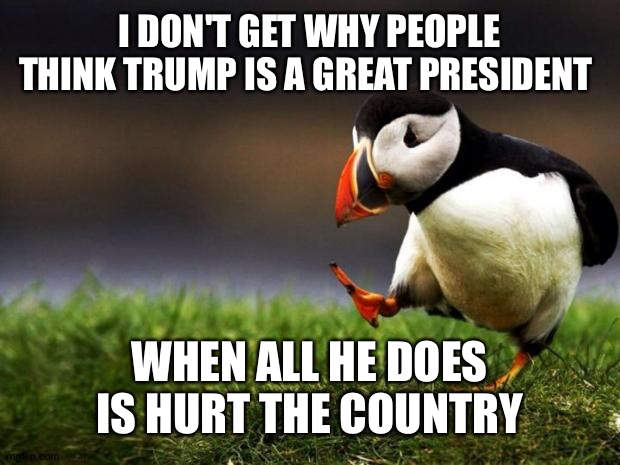 Unpopular Opinion Puffin |  I DON'T GET WHY PEOPLE THINK TRUMP IS A GREAT PRESIDENT; WHEN ALL HE DOES IS HURT THE COUNTRY | image tagged in memes,unpopular opinion puffin | made w/ Imgflip meme maker