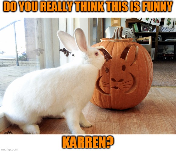 BUNNY PUMPKIN | DO YOU REALLY THINK THIS IS FUNNY; KARREN? | image tagged in bunny,rabbit,pumpkin,halloween | made w/ Imgflip meme maker