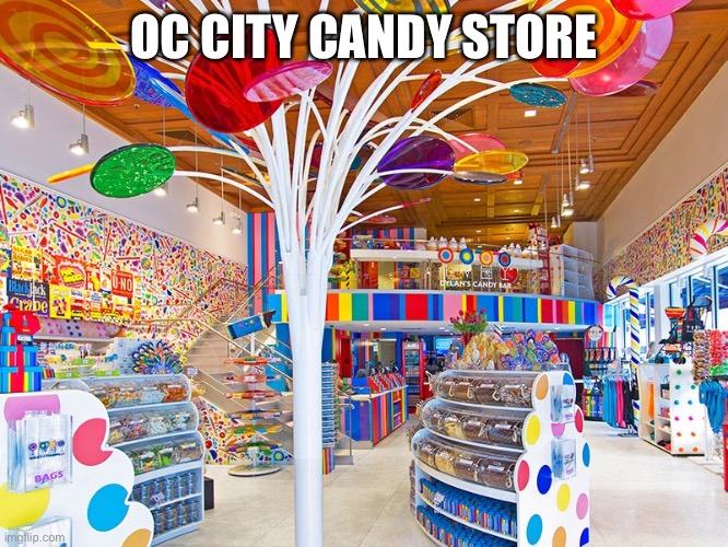 A place that sells candy and only candy is finally in OC city | OC CITY CANDY STORE | made w/ Imgflip meme maker