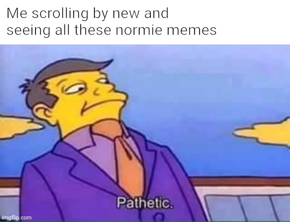 Eh | Me scrolling by new and seeing all these normie memes | image tagged in skinner pathetic | made w/ Imgflip meme maker