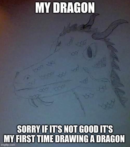 dragon | MY DRAGON; SORRY IF IT'S NOT GOOD IT'S MY FIRST TIME DRAWING A DRAGON | image tagged in drawing,dragon | made w/ Imgflip meme maker