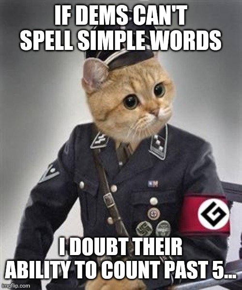 IF DEMS CAN'T SPELL SIMPLE WORDS I DOUBT THEIR ABILITY TO COUNT PAST 5... | image tagged in grammar nazi cat | made w/ Imgflip meme maker
