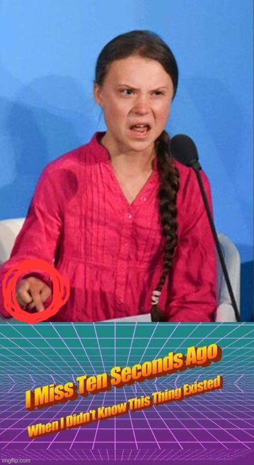 I'll be crying in the corner now | image tagged in greta thunberg how dare you,i miss ten seconds ago | made w/ Imgflip meme maker