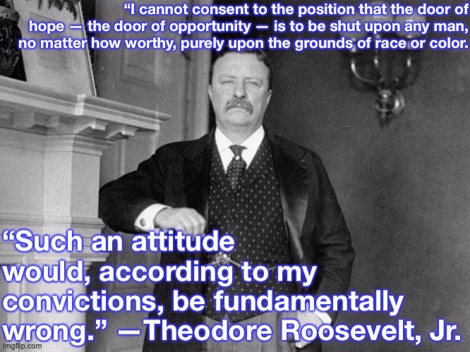 TR was racially progressive, but the country still hasn’t caught up with him. | image tagged in no racism,racism | made w/ Imgflip meme maker