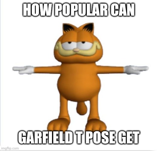 garfield t-pose | HOW POPULAR CAN; GARFIELD T POSE GET | image tagged in garfield t-pose | made w/ Imgflip meme maker