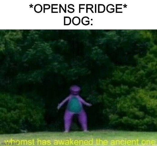 Whomst has awakened the ancient one | *OPENS FRIDGE*
DOG: | image tagged in whomst has awakened the ancient one | made w/ Imgflip meme maker