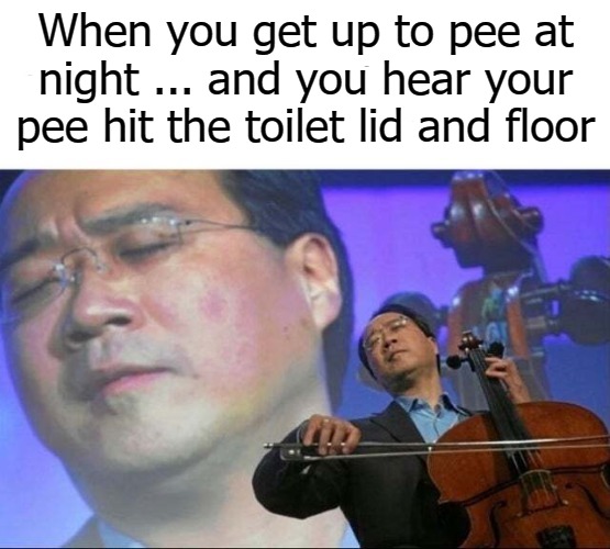 When you get up to pee at night ... and you hear your pee hit the toilet lid and floor | image tagged in pee | made w/ Imgflip meme maker