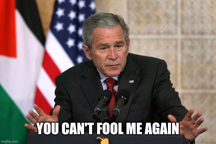 george w bush | YOU CAN'T FOOL ME AGAIN | image tagged in george w bush | made w/ Imgflip meme maker
