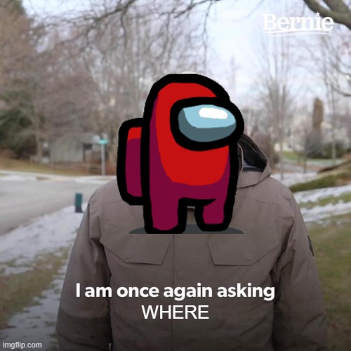 where? | WHERE | image tagged in memes,bernie i am once again asking for your support | made w/ Imgflip meme maker