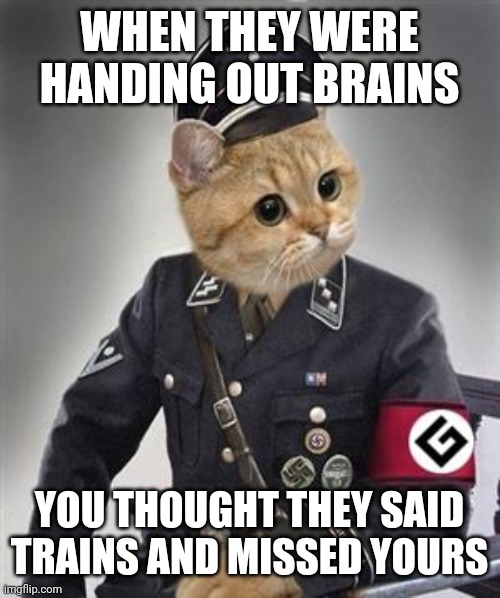WHEN THEY WERE HANDING OUT BRAINS YOU THOUGHT THEY SAID TRAINS AND MISSED YOURS | image tagged in grammar nazi cat | made w/ Imgflip meme maker