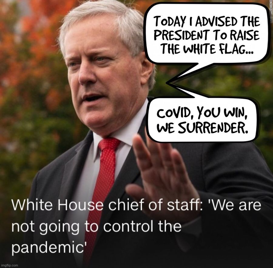 White House Chief of Staff surrenders to Covid | image tagged in covid,donald trump,white house,surrender | made w/ Imgflip meme maker