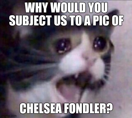 Cat reeee | WHY WOULD YOU SUBJECT US TO A PIC OF CHELSEA FONDLER? | image tagged in cat reeee | made w/ Imgflip meme maker