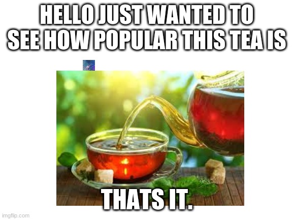 tea | HELLO JUST WANTED TO SEE HOW POPULAR THIS TEA IS; THATS IT. | image tagged in stop reading the tags | made w/ Imgflip meme maker