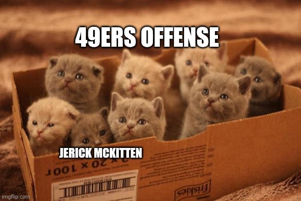 Jerick McKitten | 49ERS OFFENSE; JERICK MCKITTEN | image tagged in box o kittens,san francisco 49ers,injuries,i am also here,years of academy training wasted,ghosted | made w/ Imgflip meme maker