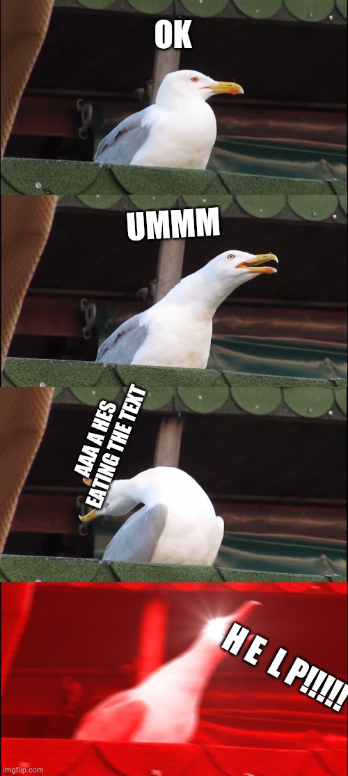 Text eaterr aaaasjskakx | OK; UMMM; AAA A HES EATING THE TEXT; H E  L P!!!!! | image tagged in memes,inhaling seagull | made w/ Imgflip meme maker