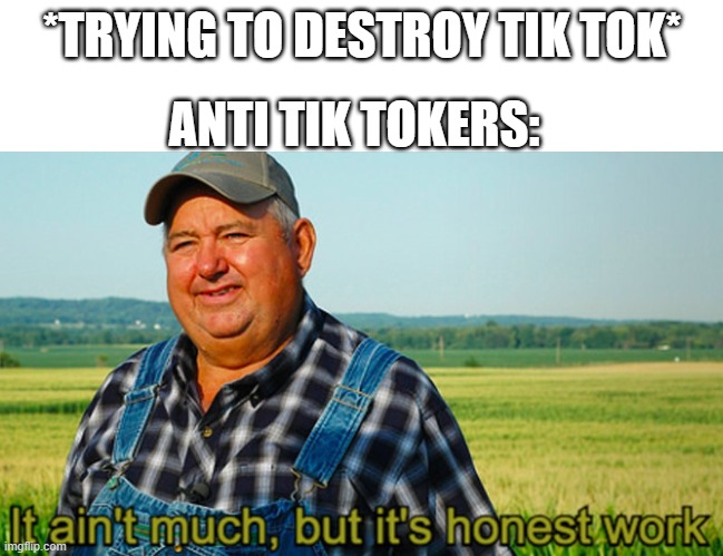 It ain't much, but it's honest work | *TRYING TO DESTROY TIK TOK*; ANTI TIK TOKERS: | image tagged in it ain't much but it's honest work | made w/ Imgflip meme maker