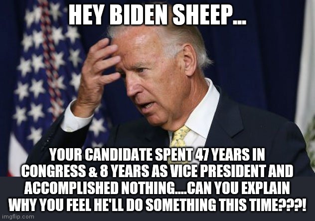 Biden....the do nothing candidate. | HEY BIDEN SHEEP... YOUR CANDIDATE SPENT 47 YEARS IN CONGRESS & 8 YEARS AS VICE PRESIDENT AND ACCOMPLISHED NOTHING....CAN YOU EXPLAIN WHY YOU FEEL HE'LL DO SOMETHING THIS TIME???! | image tagged in joe biden worries,political correctness,government corruption | made w/ Imgflip meme maker