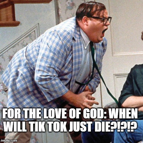 Chris Farley For the love of god | FOR THE LOVE OF GOD: WHEN WILL TIK TOK JUST DIE?!?!? | image tagged in chris farley for the love of god | made w/ Imgflip meme maker