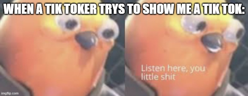 Listen here you little shit bird | WHEN A TIK TOKER TRYS TO SHOW ME A TIK TOK: | image tagged in listen here you little shit bird | made w/ Imgflip meme maker