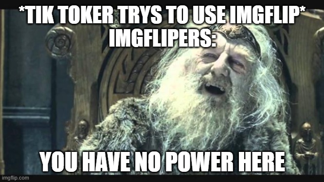 You have no power here | *TIK TOKER TRYS TO USE IMGFLIP*
IMGFLIPERS:; YOU HAVE NO POWER HERE | image tagged in you have no power here | made w/ Imgflip meme maker