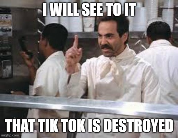 No soup | I WILL SEE TO IT; THAT TIK TOK IS DESTROYED | image tagged in no soup | made w/ Imgflip meme maker