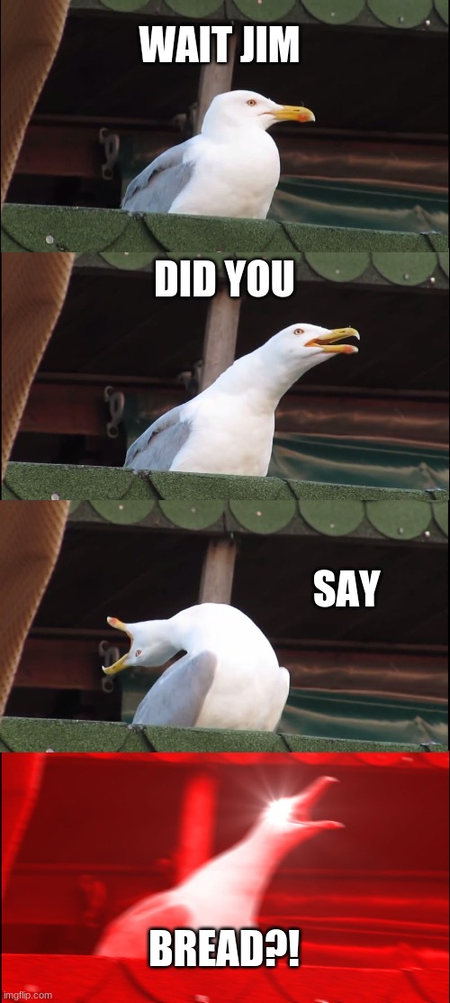 Inhaling Seagull | WAIT JIM; DID YOU; SAY; BREAD?! | image tagged in memes,inhaling seagull | made w/ Imgflip meme maker