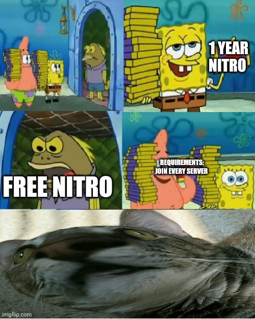 Chocolate Spongebob Meme | 1 YEAR NITRO; REQUIREMENTS: JOIN EVERY SERVER; FREE NITRO | image tagged in memes,chocolate spongebob | made w/ Imgflip meme maker