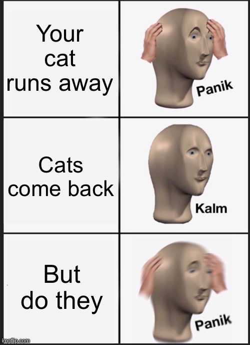 Panik Kalm Panik | Your cat runs away; Cats come back; But do they | image tagged in memes,panik kalm panik | made w/ Imgflip meme maker