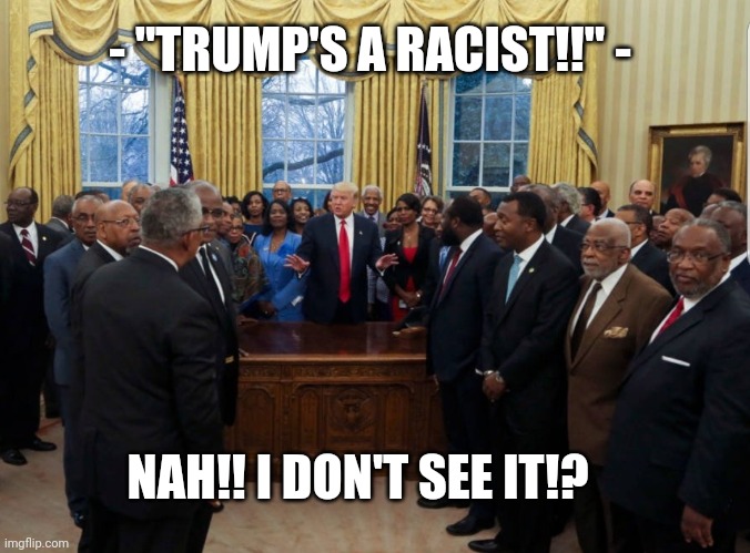 Nah! I don't see it!? | - "TRUMP'S A RACIST!!" -; NAH!! I DON'T SEE IT!? | image tagged in trumps a racist,peoples president | made w/ Imgflip meme maker