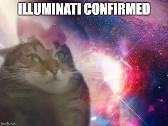 the prophecy is true cat | ILLUMINATI CONFIRMED | image tagged in the prophecy is true cat | made w/ Imgflip meme maker