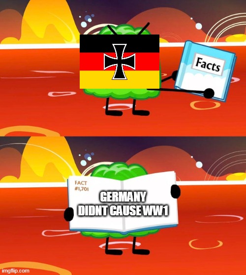 FACTS BFB | GERMANY DIDNT CAUSE WW1 | image tagged in gelatin's book of facts | made w/ Imgflip meme maker