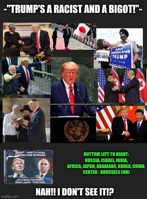 Nah!! I don't see it!! | -"TRUMP'S A RACIST AND A BIGOT!"-; BOTTOM LEFT TO RIGHT:
RUSSIA, ISRAEL, INDIA, AFRICA, JAPAN, ARABIANS, KOREA, CHINA 
CENTER : BRUSSELS (UN); NAH!! I DON'T SEE IT!? | image tagged in question the media narrative,trump2020,it's the things they don't talk about | made w/ Imgflip meme maker