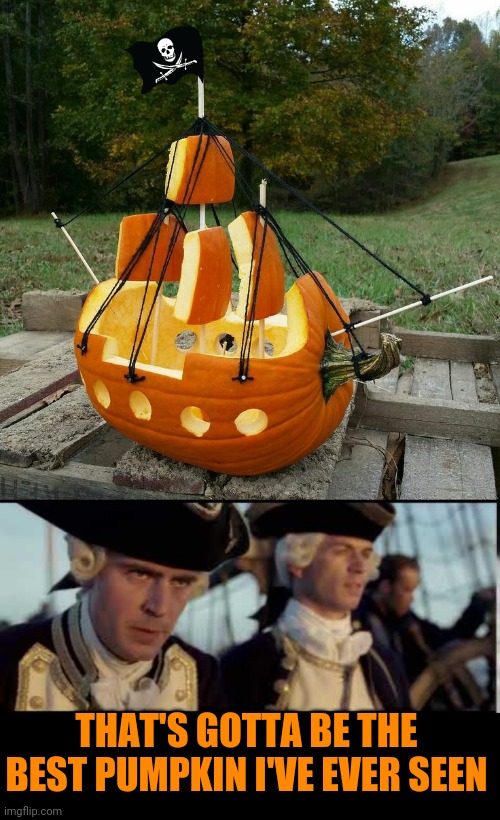 PIRATE PUMPKIN | THAT'S GOTTA BE THE BEST PUMPKIN I'VE EVER SEEN | image tagged in that s got to be the best pirate i ve ever seen,pirate,pirates of the caribbean,pumpkin,halloween,spooktober | made w/ Imgflip meme maker