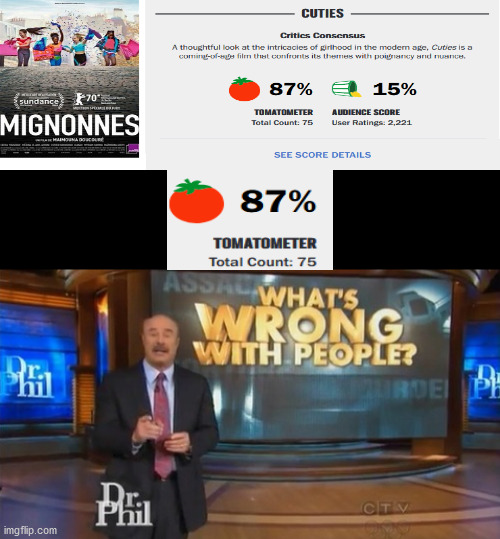The Critics are Pedophiles for liking and defending this garbage! | image tagged in dr phil what's wrong with people,dank memes,memes,fresh memes,funny,funny memes | made w/ Imgflip meme maker
