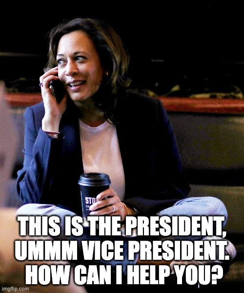 kamala | THIS IS THE PRESIDENT, UMMM VICE PRESIDENT.  HOW CAN I HELP YOU? | image tagged in vice president | made w/ Imgflip meme maker