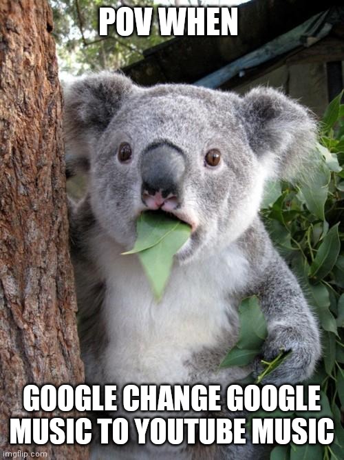 Surprised Koala | POV WHEN; GOOGLE CHANGE GOOGLE MUSIC TO YOUTUBE MUSIC | image tagged in memes,surprised koala | made w/ Imgflip meme maker